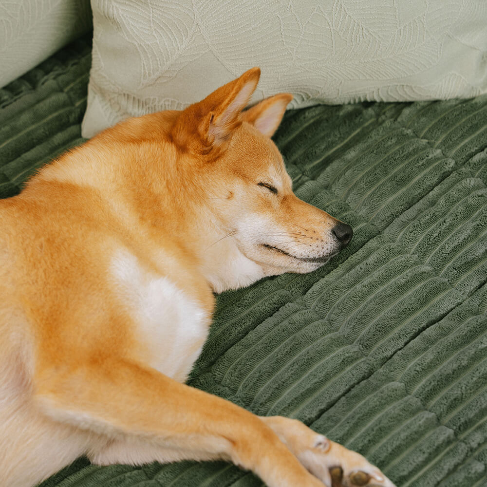 Haga una cubierta del sofá de galletas Waffle: acogedora franela suave y alfombra de mascotas transpirable, ¡disfrute de una sabrosa comodidad!