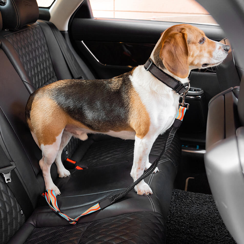 <tc>Color</tc>Cinturón de seguridad ajustable para perros con amortiguador completo