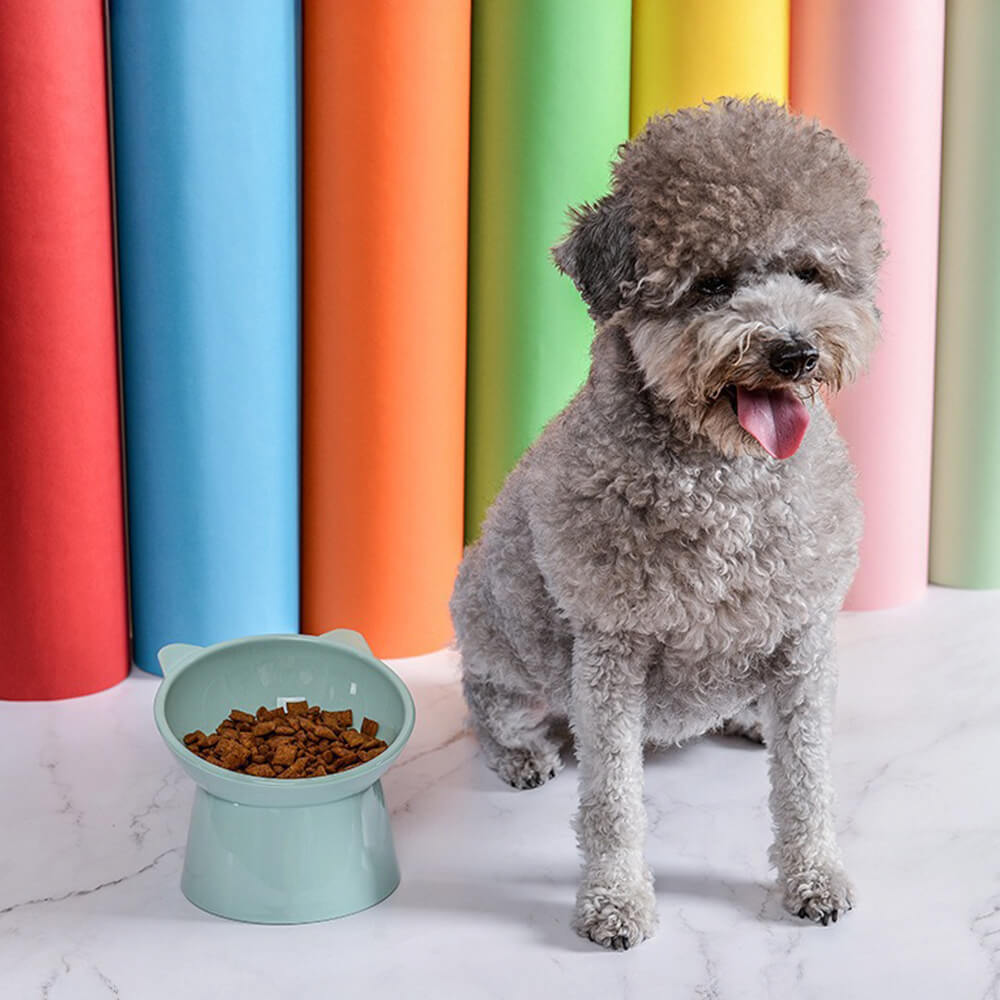 Nordic Style Elevated Anti-Choke Anti-Spill Slanted Feeding Cat & Dog Bowl