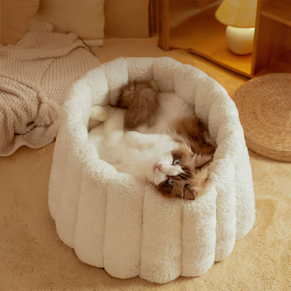 Soporte completo cálido para la piel Capil en gato semi-enfermo de la piel