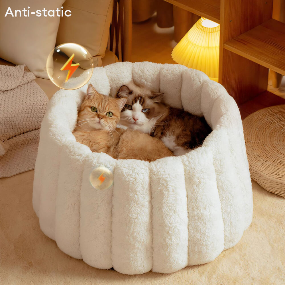Soporte completo cálido para la piel Capil en gato semi-enfermo de la piel