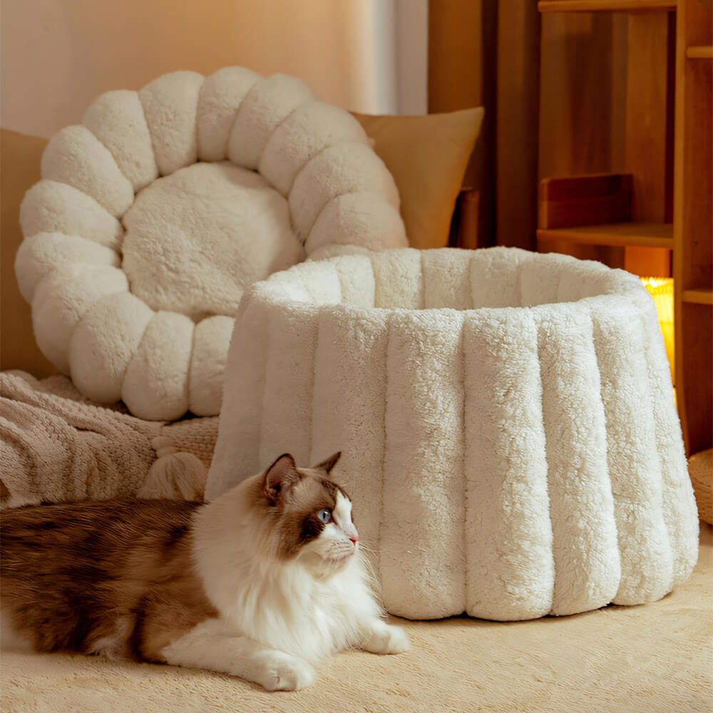 Soporte completo cálido para la piel Capil en gato semi-enfermo de la piel