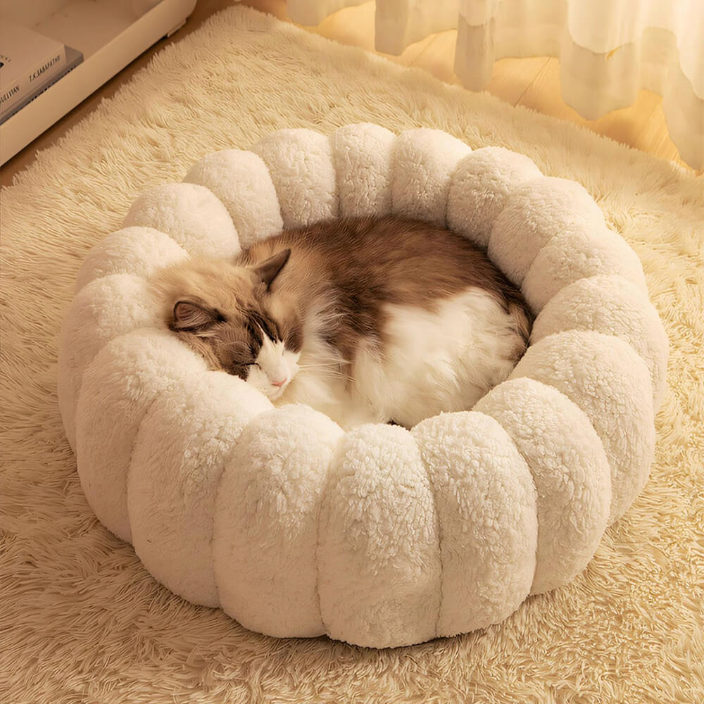 Soporte completo cálido para la piel Capil en gato semi-enfermo de la piel