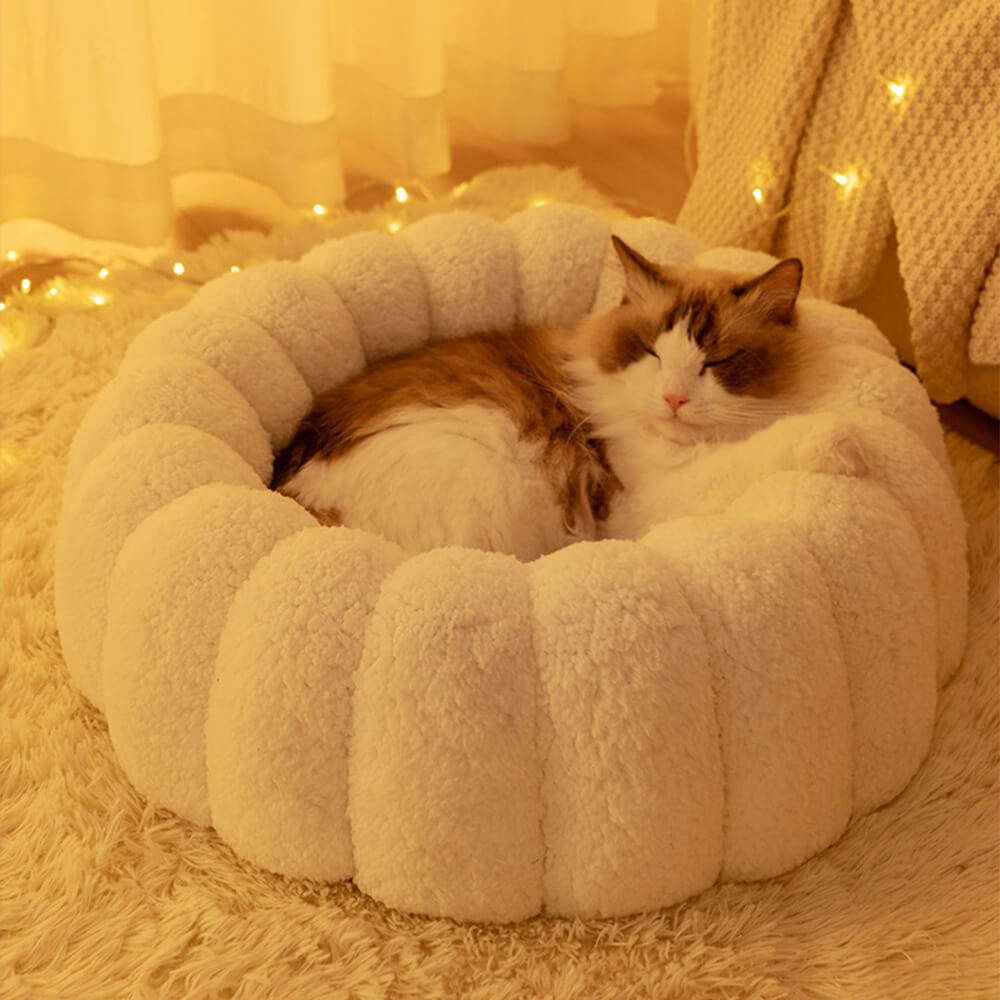 Soporte completo cálido para la piel Capil en gato semi-enfermo de la piel
