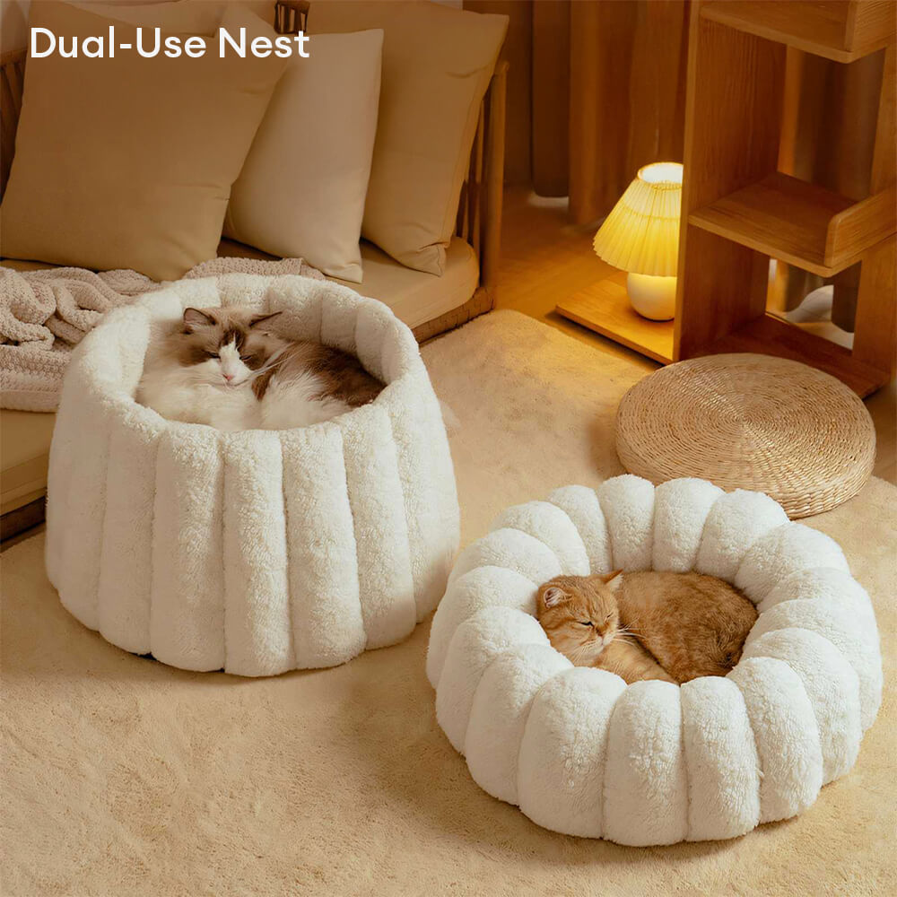 Soporte completo cálido para la piel Capil en gato semi-enfermo de la piel