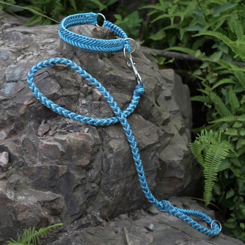 Collar y correa de perro luminoso luminoso hecho a mano