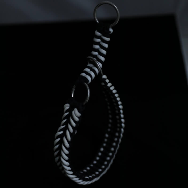 Collar y correa de perro luminoso luminoso hecho a mano