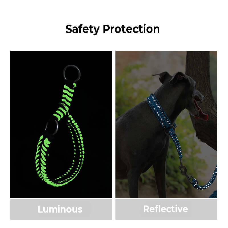 Collar y correa de perro luminoso luminoso hecho a mano