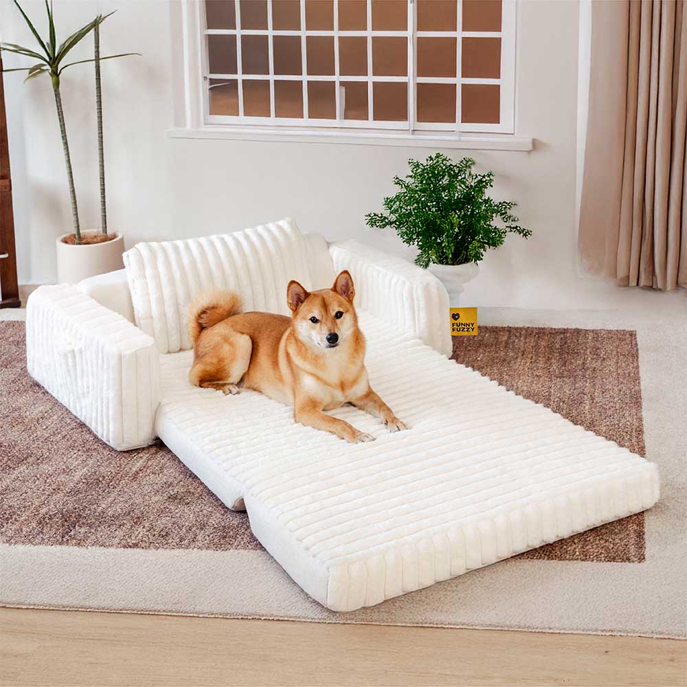 Lenfuga esponjosa grande ortopédico humano-perro Bolster cama de refrescos