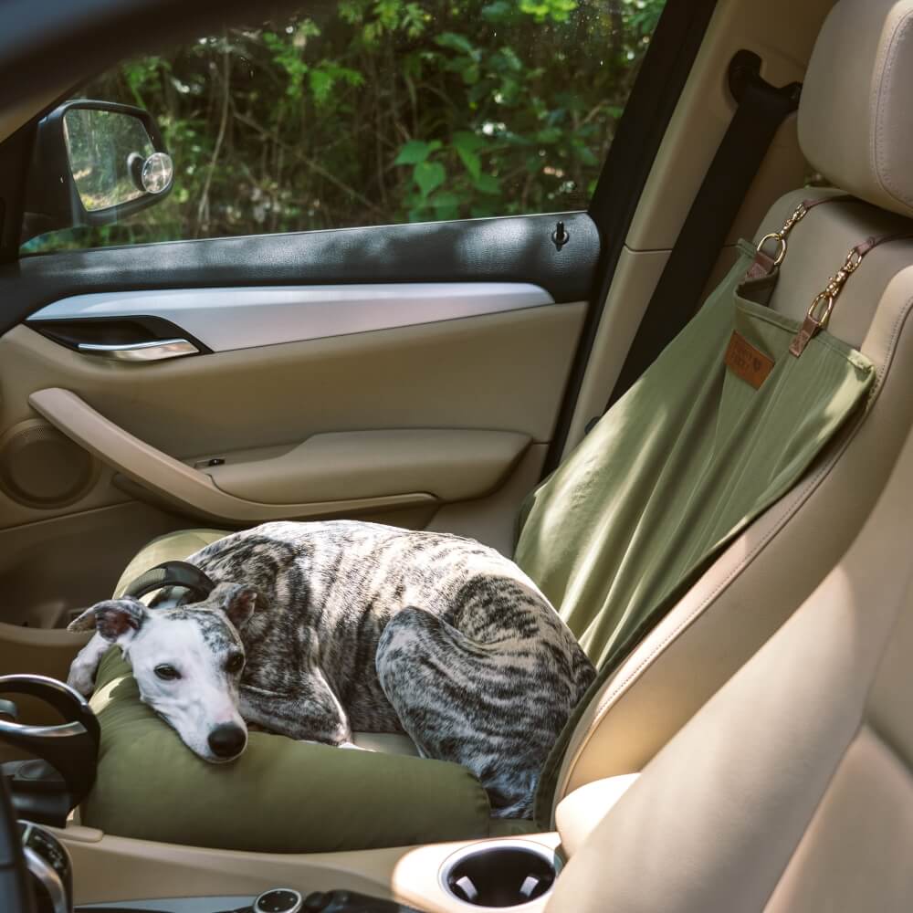 Traversin de voyage siège arrière de sécurité pour grand chien, siège de voiture, salon en échiquier