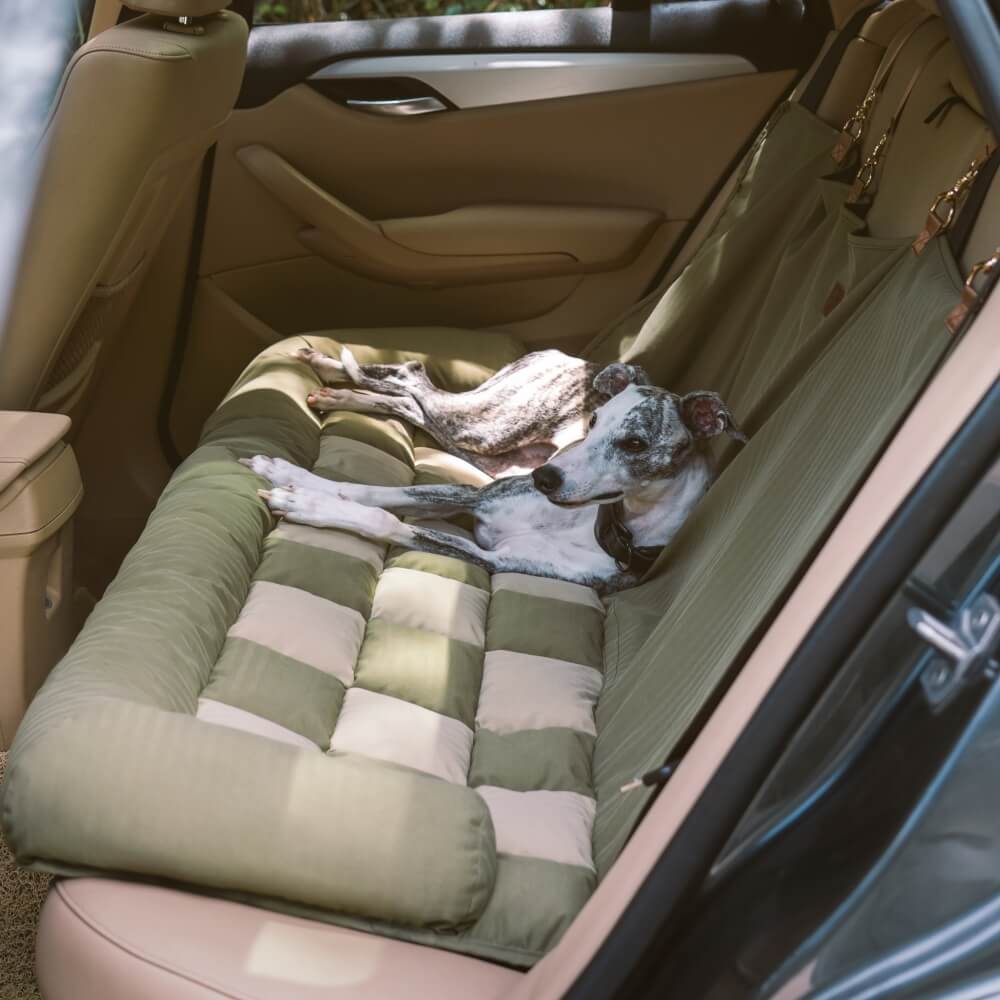 Traversin de voyage siège arrière de sécurité pour grand chien, siège de voiture, salon en échiquier