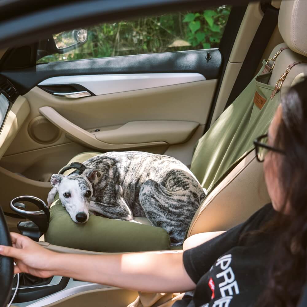Traversin de voyage siège arrière de sécurité pour grand chien, siège de voiture, salon en échiquier
