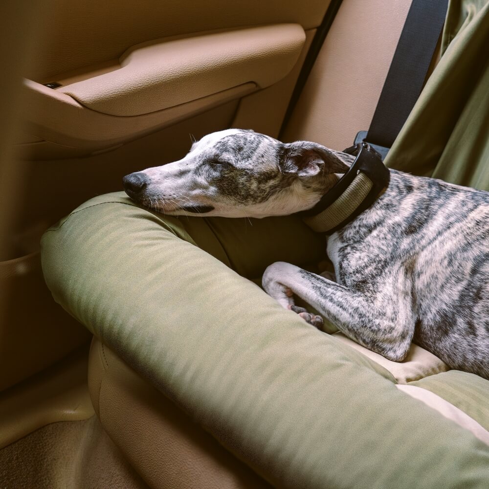 Traversin de voyage siège arrière de sécurité pour grand chien, siège de voiture, salon en échiquier