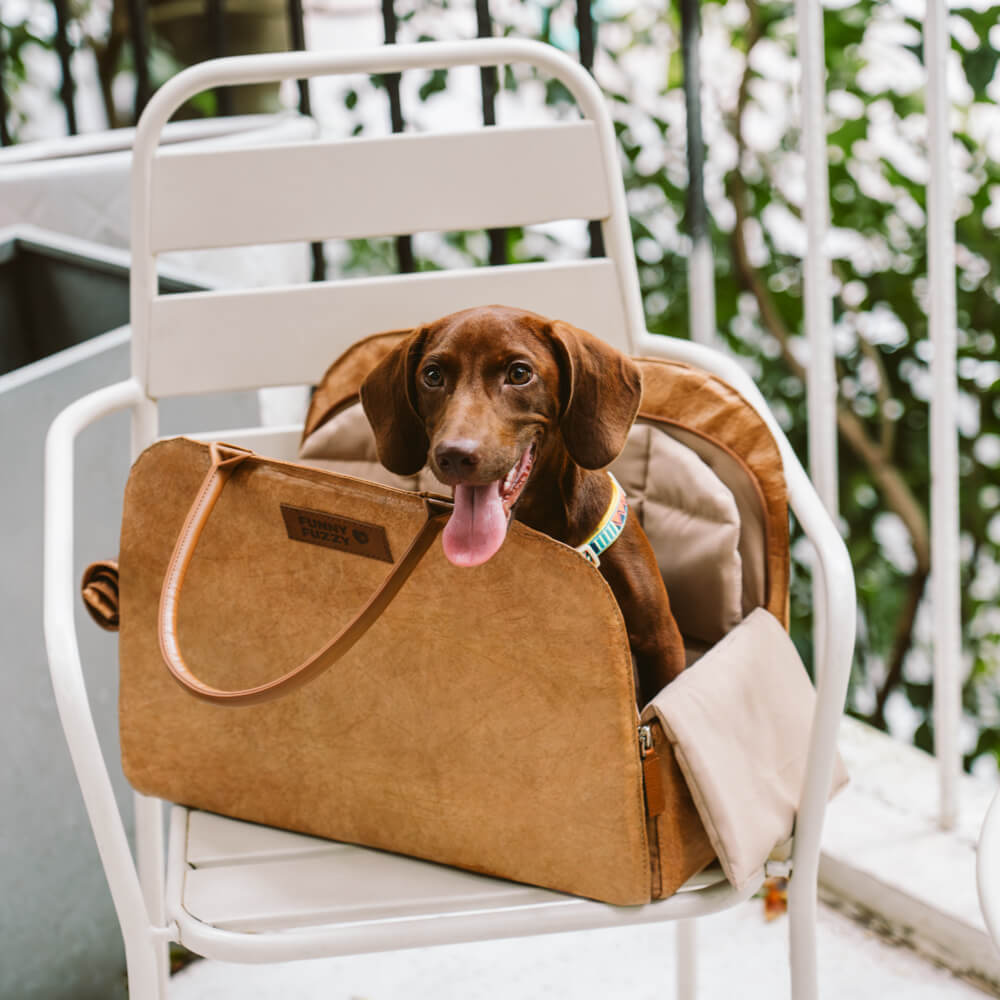 Umweltfreundliche, multifunktionale Haustier-Reisetasche von Vogue – City Roamer