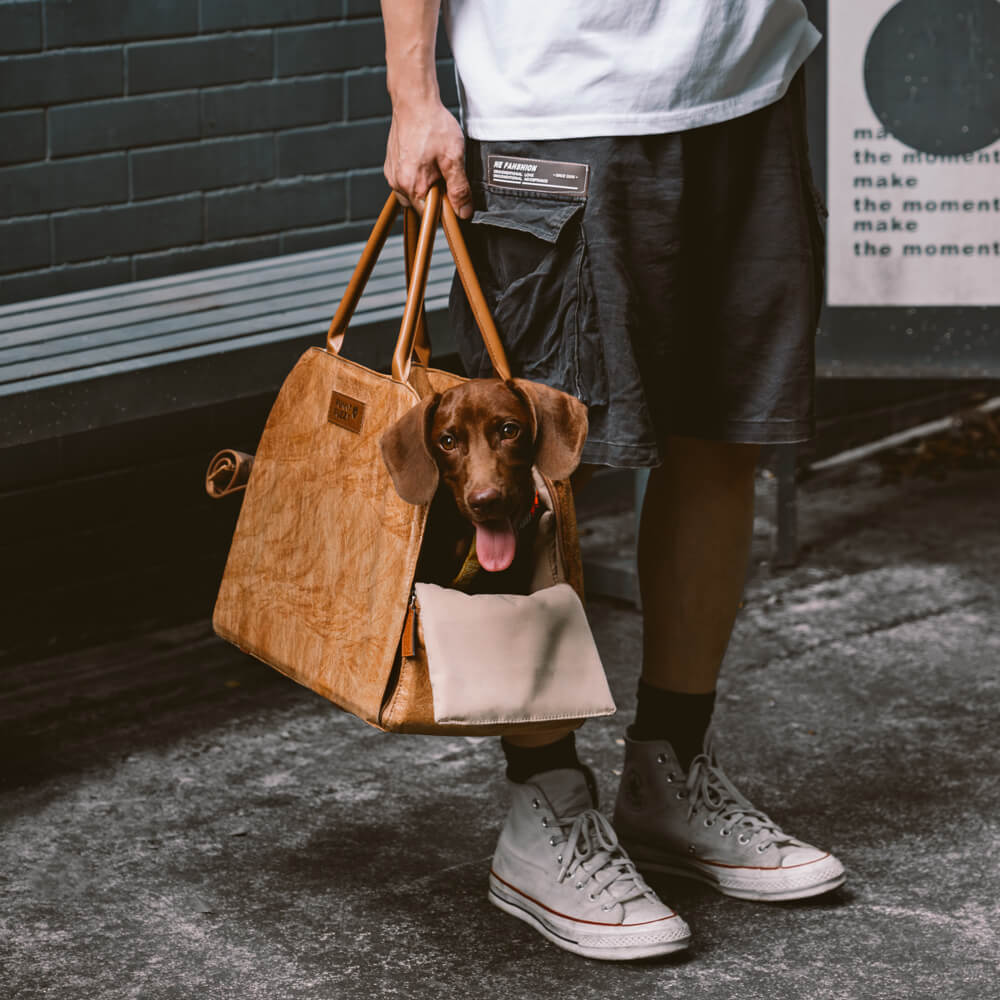 Umweltfreundliche, multifunktionale Haustier-Reisetasche von Vogue – City Roamer