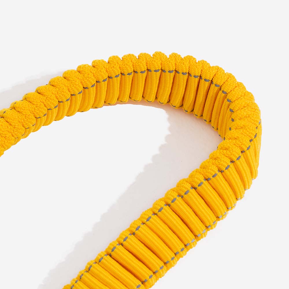 Ceinture de sécurité de voiture d'accessoires de chien frais réglables de tampon