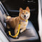 Ceinture de sécurité de voiture d'accessoires de chien frais réglables de tampon