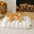 Camas de perros planas cremosas grandes y lavables - pastel de queso