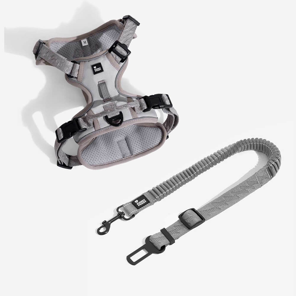 Ceinture de sécurité de voiture d'accessoires de chien frais réglables de tampon