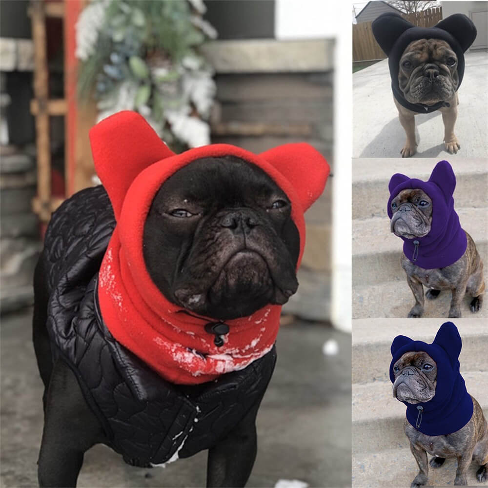 Capucha para perros de vellón con orejas de oso: ropa de invierno divertida y acogedora