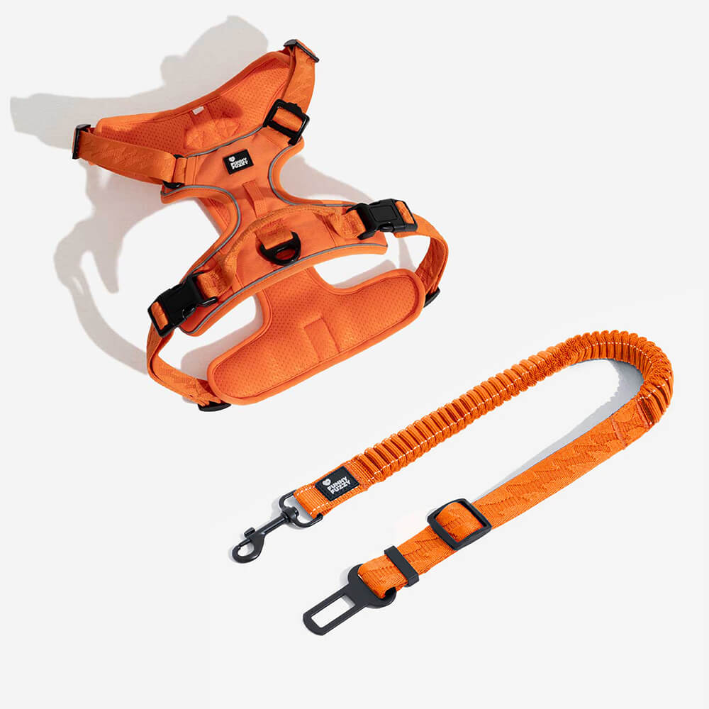 Ceinture de sécurité de voiture d'accessoires de chien frais réglables de tampon