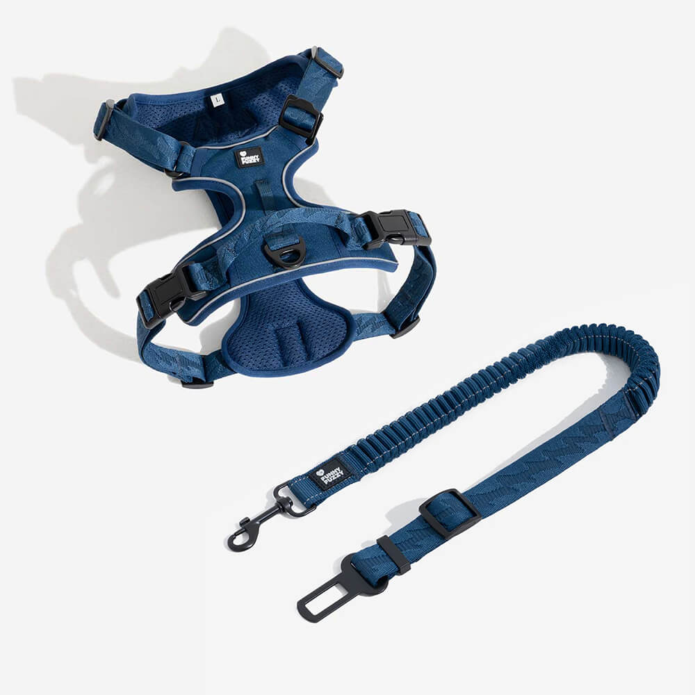 Ceinture de sécurité de voiture d'accessoires de chien frais réglables de tampon