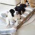 Cama de peluche de lujo de lujo cama para perros con almohada