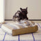 Cama de peluche de lujo de lujo cama para perros con almohada