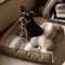 Cama de peluche de lujo de lujo cama para perros con almohada