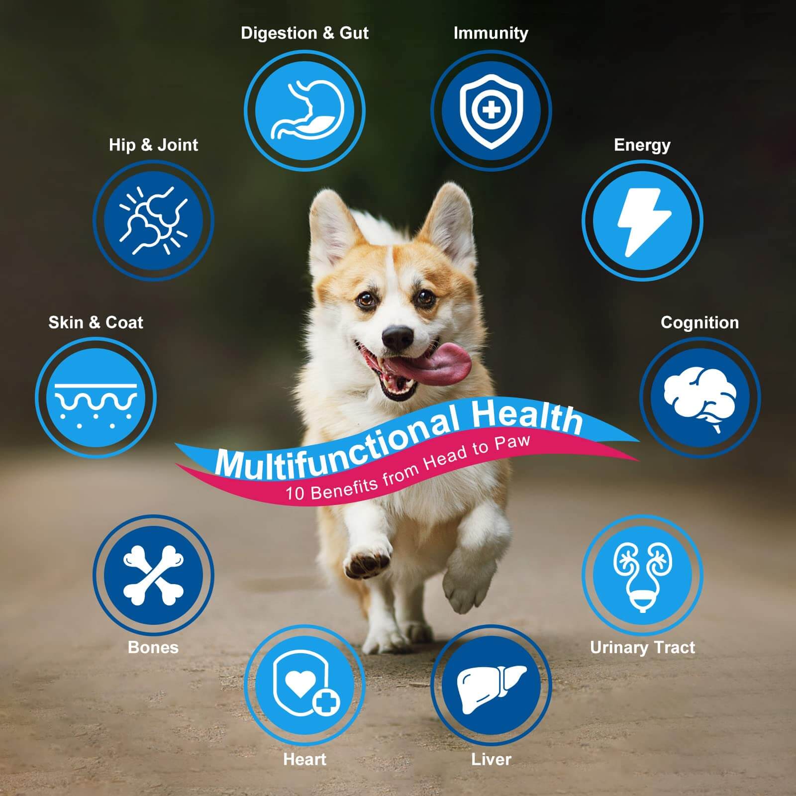 Dog Multivitamin Vitamins Powder Probiotics & Digestive Enzymes for Gut Health