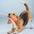 Toy de perro de tirón interactivo de cuerda de algodón duradera