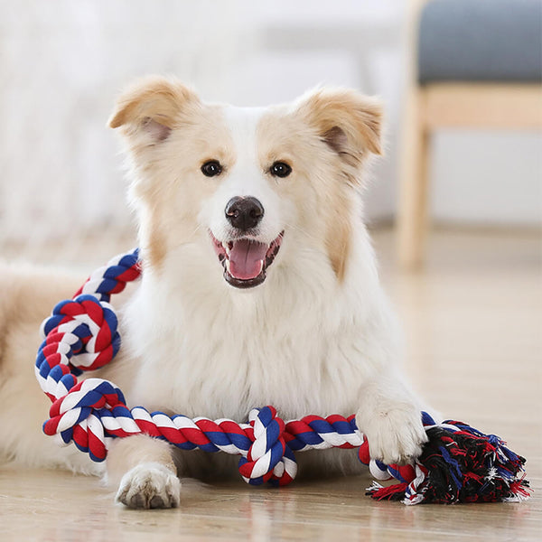 Toy de perro de nudo de cuerda Tug Interactive Toy