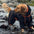Jaqueta grande para cachorro ao ar livre Capa de chuva ajustável à prova d'água para cachorro