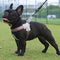 Arnês de peito ajustável para cães
