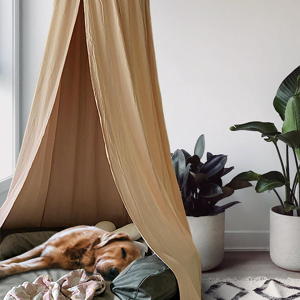 Elegante tipe de perro acogedor acogedor para perros para perros